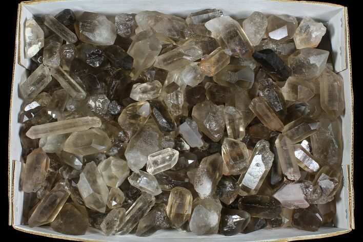 Lot: Lbs Smoky Quartz Crystals (-) - Brazil #77825